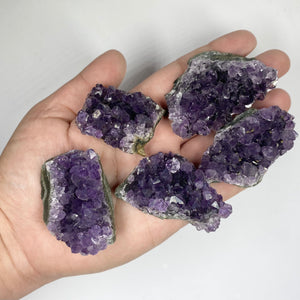 Amethyst (Cluster) - Small